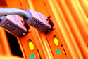 Proffessional, Affordable Web Site Hosting